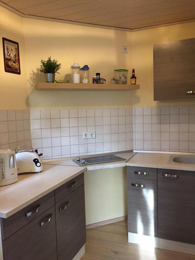 Ferienwohnung-Schmidt-2 Gelenau Екстер'єр фото